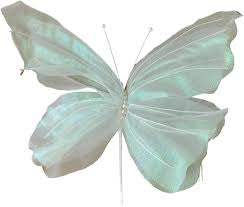 Mariposa Tridimensional (x1u)