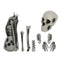 Set 12 Huesos Esqueleto Realistas (x1 set)