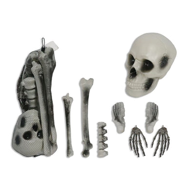 Set 12 Huesos Esqueleto Realistas (x1 set)