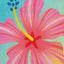 Summer Dreams Beverage Napkins (x12u)