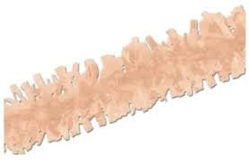 Tissue Festooning