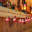 Flamingo Light Chain 5ft (x1xu)