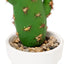 Cactus Artificiales Mexico (x1u)