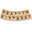 Banner Happy Birthday Harry Potter (x1u)