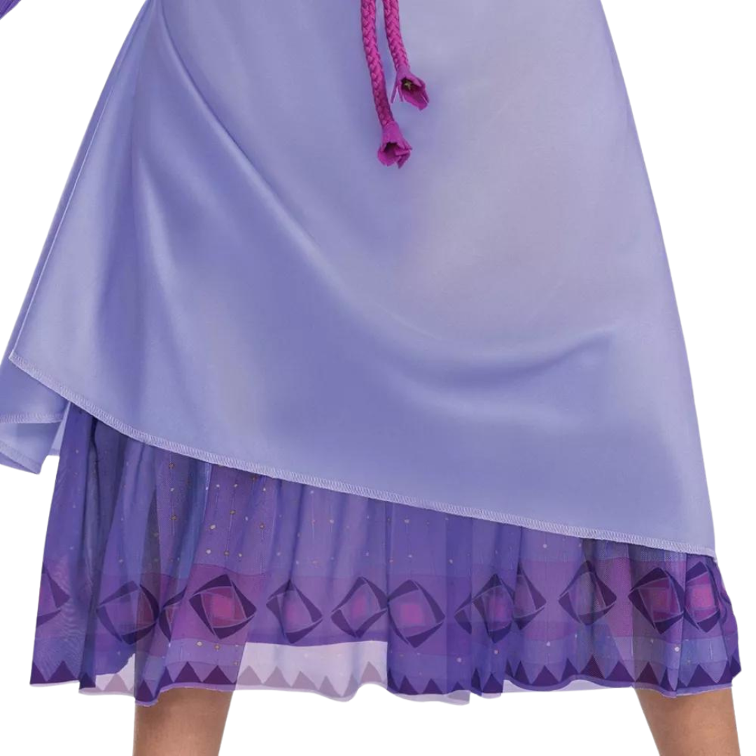 Asha Wish Costume