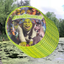 Shrek Platos 9" (x10u)