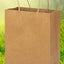 Bolsa de Papel Chica (Unidad) 21*15*8cm