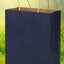 Bolsa de Papel Chica (Unidad) 21*15*8cm