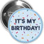 Pin It's My Birthday