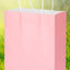 Bolsa de Papel Chica (Unidad) 21*15*8cm