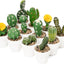 Cactus Artificiales Mexico (x1u)