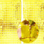 Cortinas Foil Cuadrados - Todos Colores (3x8ft)
