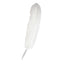 Plumas Grandes Blancas