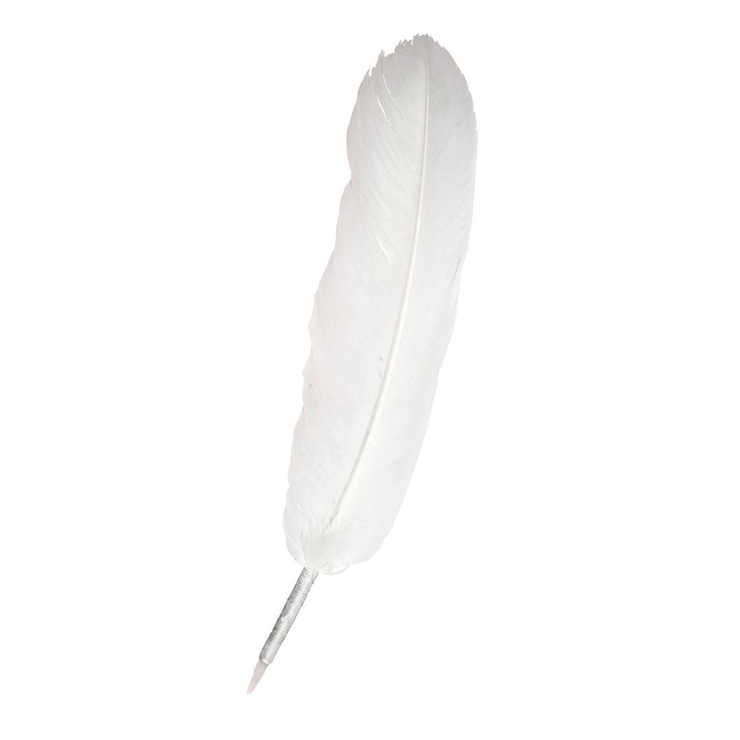 Plumas Grandes Blancas