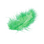 Plumas Chicas Verde