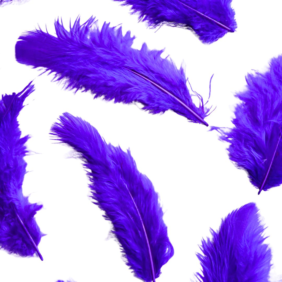 Plumas Medianas Violeta