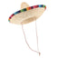 Sombrero Tradicional Mexicano (x1u)