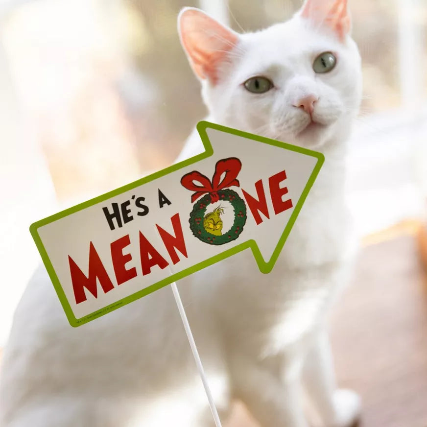 Traditional Grinch Photo Prop Kit