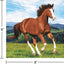 Horse and Pony Beverage Napkins (16u)