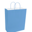 Paper Bags with Handles for Favors & Gifts 15¾" XL (Pack x12u)
