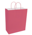 Paper Bags with Handles for Favors & Gifts 15¾" XL (Pack x12u)