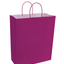 Paper Bags with Handles for Favors & Gifts 15¾" XL (Pack x12u)