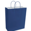Paper Bags with Handles for Favors & Gifts 15¾" XL (Pack x12u)