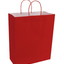 Paper Bags with Handles for Favors & Gifts 15¾" XL (Pack x12u)