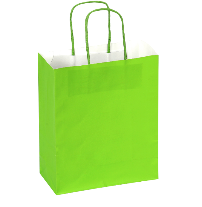 Paper Bags with Handles X12 UNIDADES - Gifts 10"