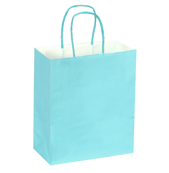 Paper Bags with Handles X12 UNIDADES - Gifts 10"