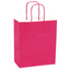 Paper Bags with Handles X12 UNIDADES - Gifts 10"