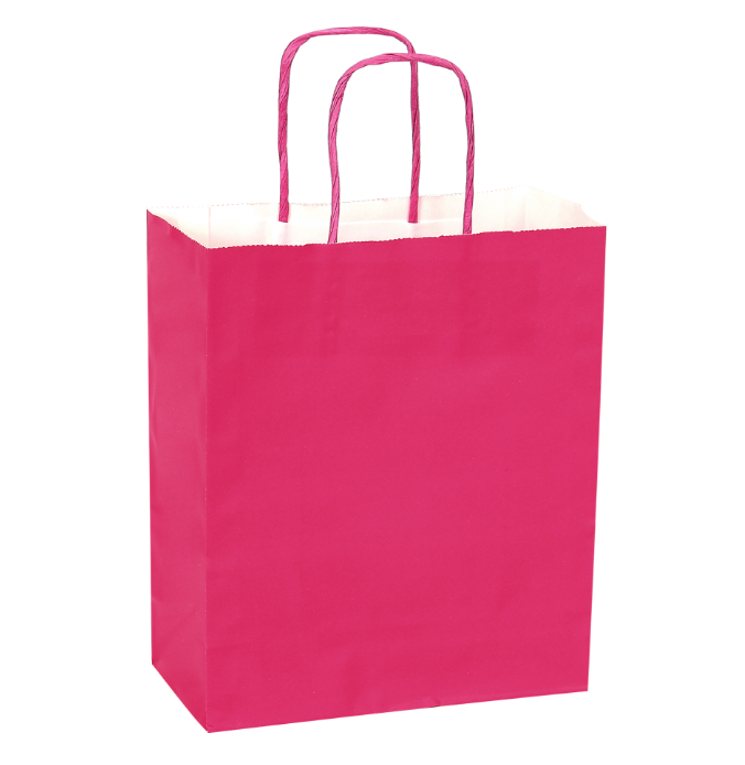 Paper Bags with Handles X12 UNIDADES - Gifts 10"
