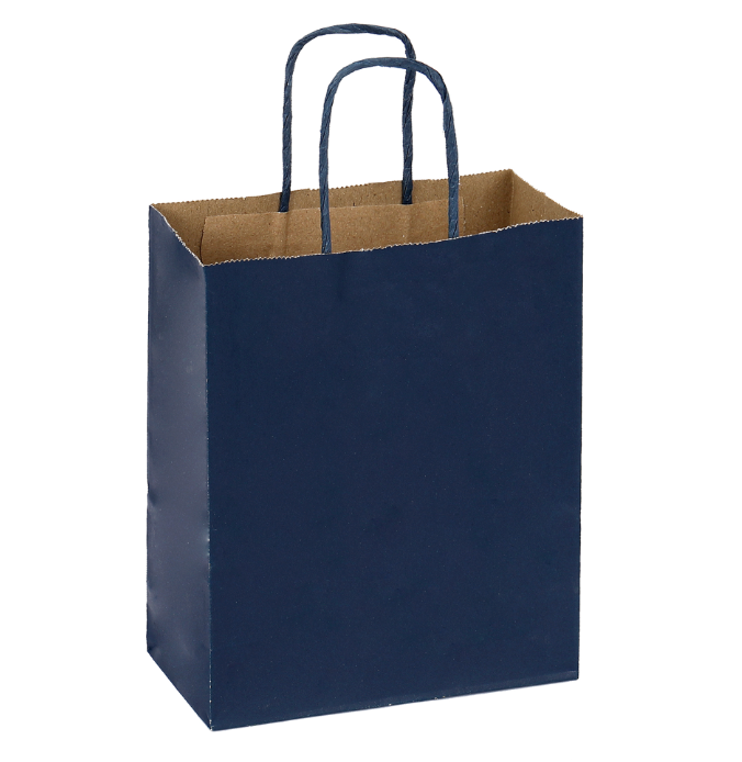 Paper Bags with Handles X12 UNIDADES - Gifts 10"