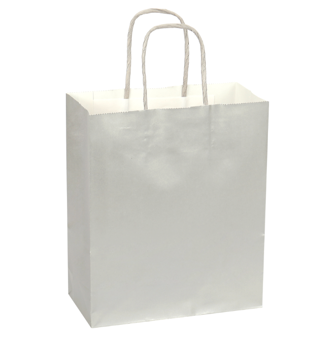 Paper Bags with Handles X12 UNIDADES - Gifts 10"