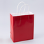 Bolsa de Papel Mediana (Unidad) 27*21*11cm