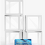5 Cajas de Globos Transparentes
