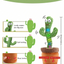 Cactus Bailarín & Repetidor