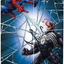 Spiderman Backdrop