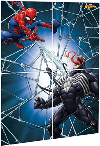 Spiderman Backdrop