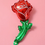 Globo ROSA