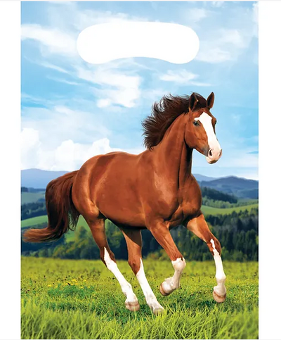 Horse and Pony Loot Bags