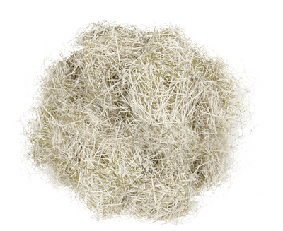 Paper Shred With Metallic Gold Foil 6oz - Ivory
