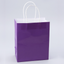 Paper Bags with Handles for Favors & - Gifts 10"