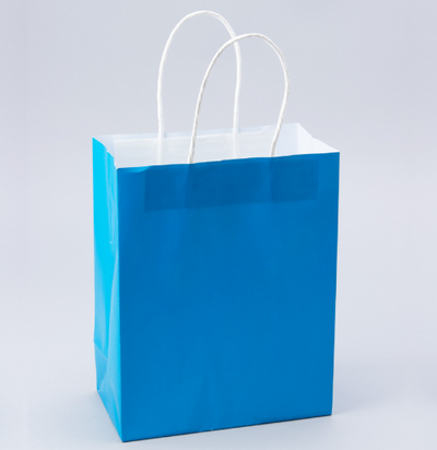 Paper Bags with Handles for Favors & - Gifts 10"