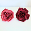 Clips con Rosas Brillantes – Rojo y Rosa (x4u)