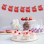 Cherry Party Banner Decorativo (x1u)