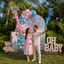 Bengala Smoke Gender Reveal Boy or Girl (x1u)