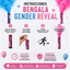 Bengala Smoke Gender Reveal Boy or Girl (x1u)