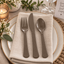 Reusable Cutlery Assortment Taupe (x80u)