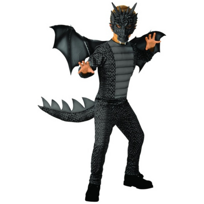 Dragon Kids Costume